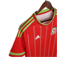 2015/2016 Wales - Home Retro Kit - GovintageJersey